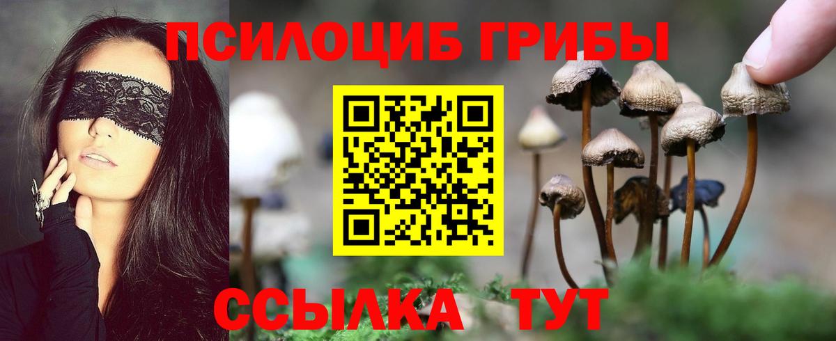 Арзамас  Псилоцибиновые грибы Psilocybe  Вход с VPN 